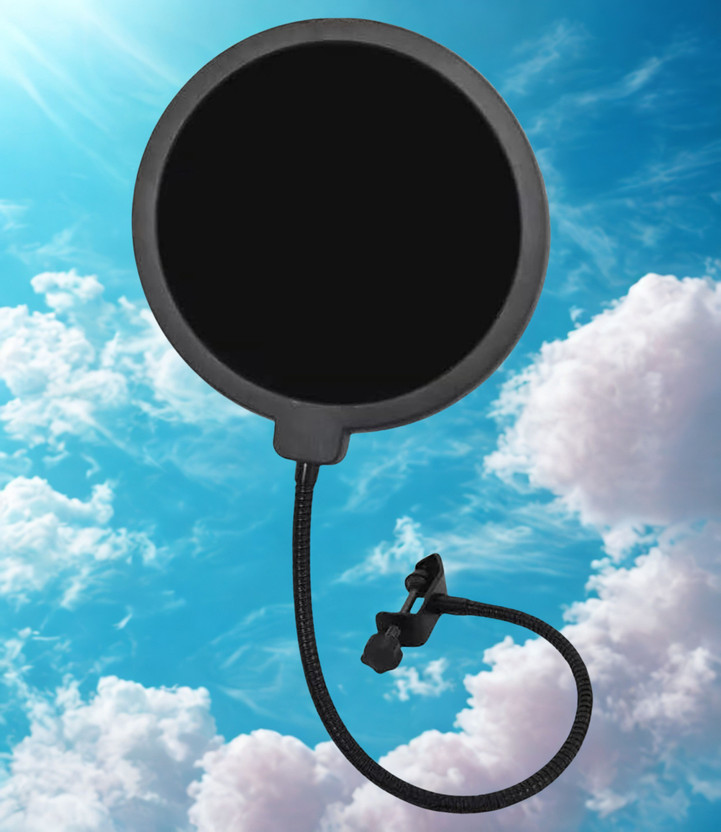 Testudo Testudo Dual Layer 6 Inch Pop Filter for Mic Recording and Streaming Microphone Pop Filter(Black) - Flipkart Deal