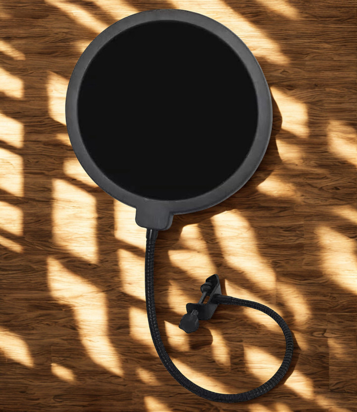 Testudo Testudo 6 Inch Studio Mic Pop Filter Wind Screen for Vocal Recording Microphone Pop Filter(Black) - Flipkart Deal