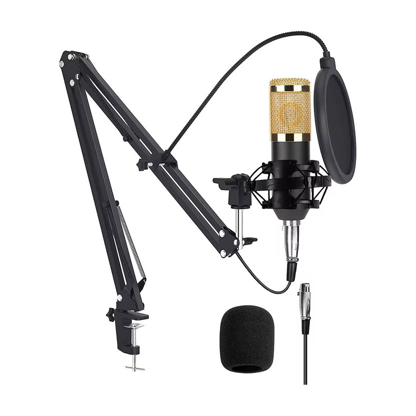 FoxHill FoxHill Microphone BM800 Vlogging Kit Podcast Equipment Music Studio Equipment Professional Broadcasting Studio Recording Condenser Microphone Kit(black&gold) - Flipkart Deal
