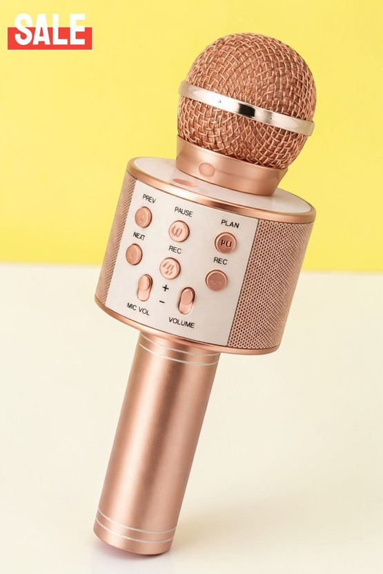 Nilesawar X64 Wireless Karaoke Microphone with Speaker Bluetooth Mic for Singing Microphone