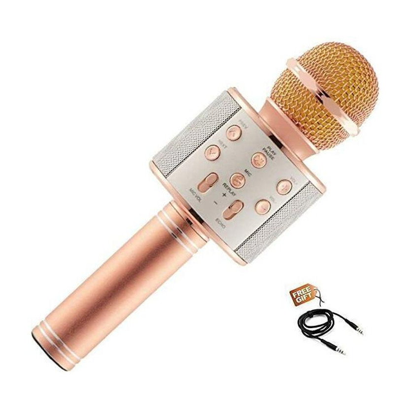 Seraphic Microphone Bluetooth Singing Mic with Built-in Speaker Echo Rechargeable Microphone
