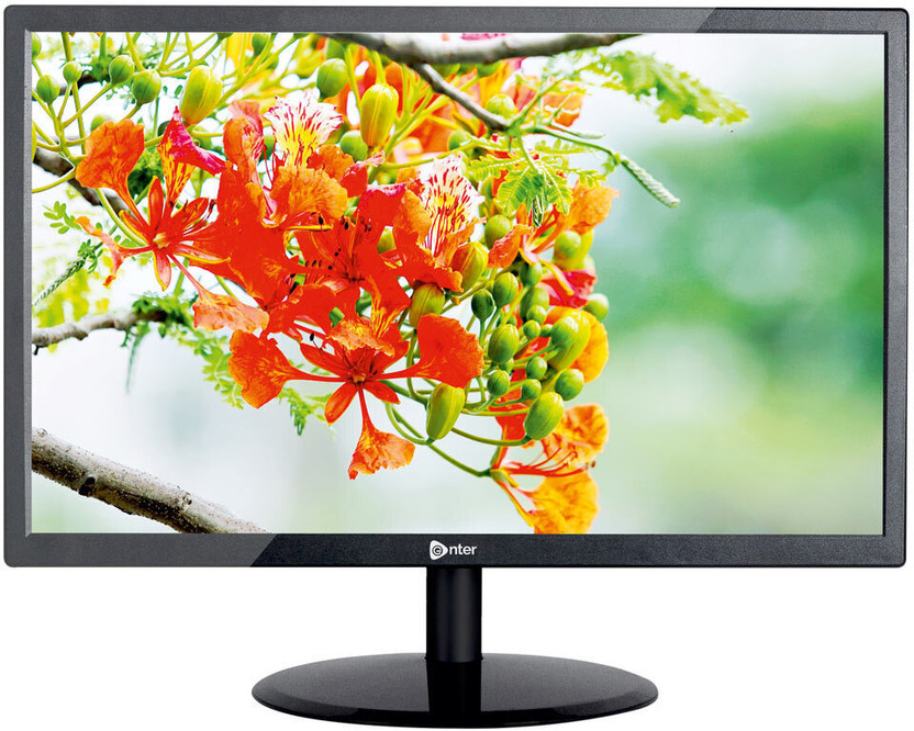 Enter 48.26 cm (19 inch) HD LED Backlit TN Panel Monitor (19 inch HD LED Monitor)(Response Time: 5 ms, 60 Hz Refresh Rate)