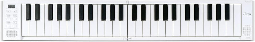 Midiplus FP49 Folding Electronic Piano Folding Electronic Piano Digital Portable Keyboard(49 Keys)