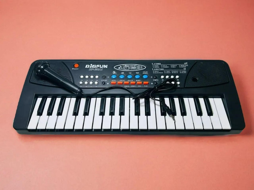 Stybits X192 Piano Keyboard with Recording ,Mic & Mobile Charger Best Birthday Gift for Boys and Girls Musical Instruments Latest Analog Analog Portable Analog Portable Keyboard(37 Keys)