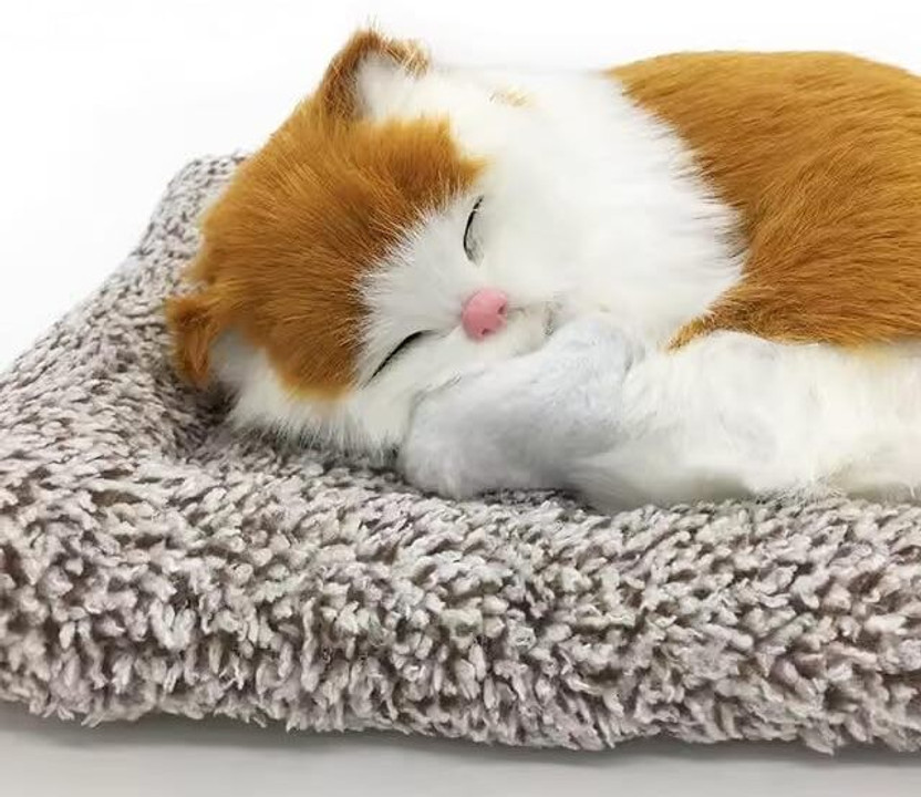 MY MY BABY LOVE A PERFECT CARE Sleeping cat Car Dashboard accessory | Gift for Kids & Adults Decorative Showpiece  -  11 cm(Plastic, Multicolor) - Flipkart Deal