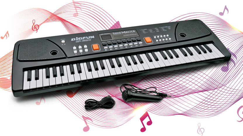 VikriDa Electronic Digital Piano Keyboard 61 Keys- Multi-Function Portable Piano(Black)