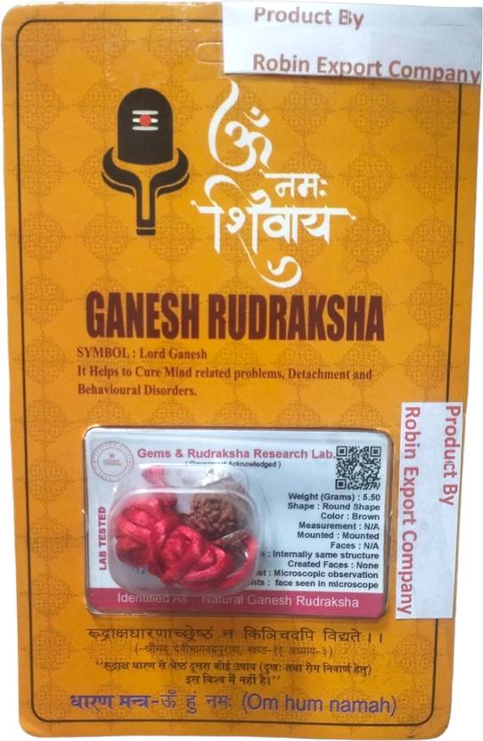 Robin Export Company Premium Quality Lord Ganesh Nepali Rudraksha with