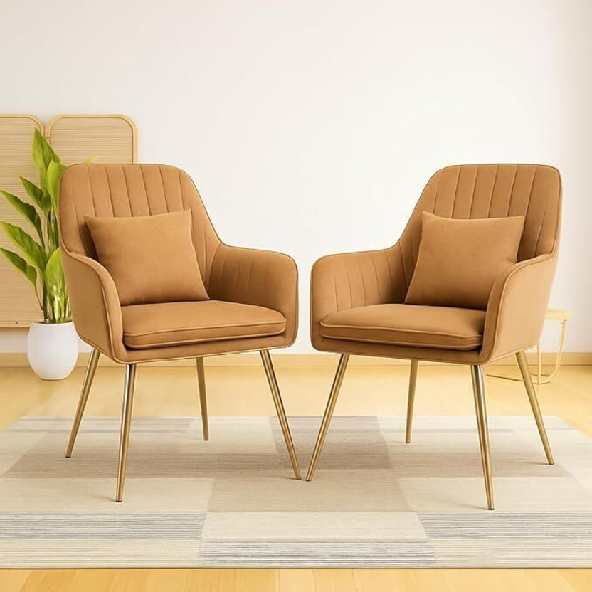 Toxigo Velvet Dining Chairs With Cusion Set of 2 Fabric Dining Chair(Set of 2, Finish Color - Light Brown)