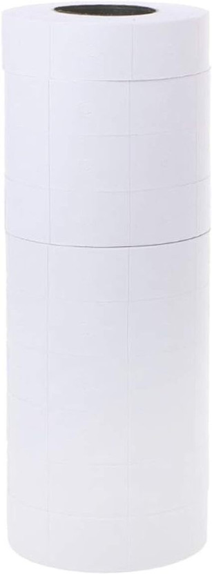 ROYAL STIC PGL6600-25 Self-adhesive Paper Label(White)