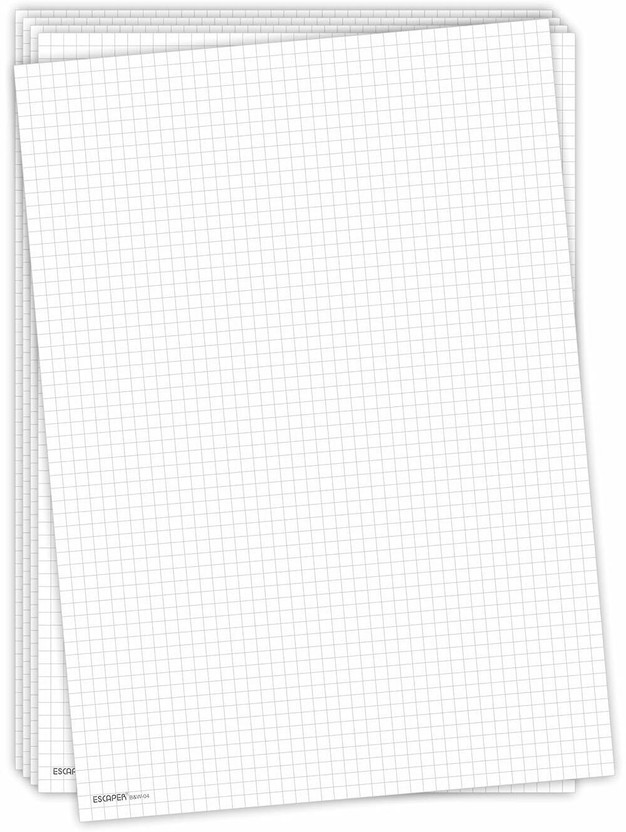 ESCAPER Pack of 200 Double-Sided A4 90 gsm Graph Paper(Set of 200, White)