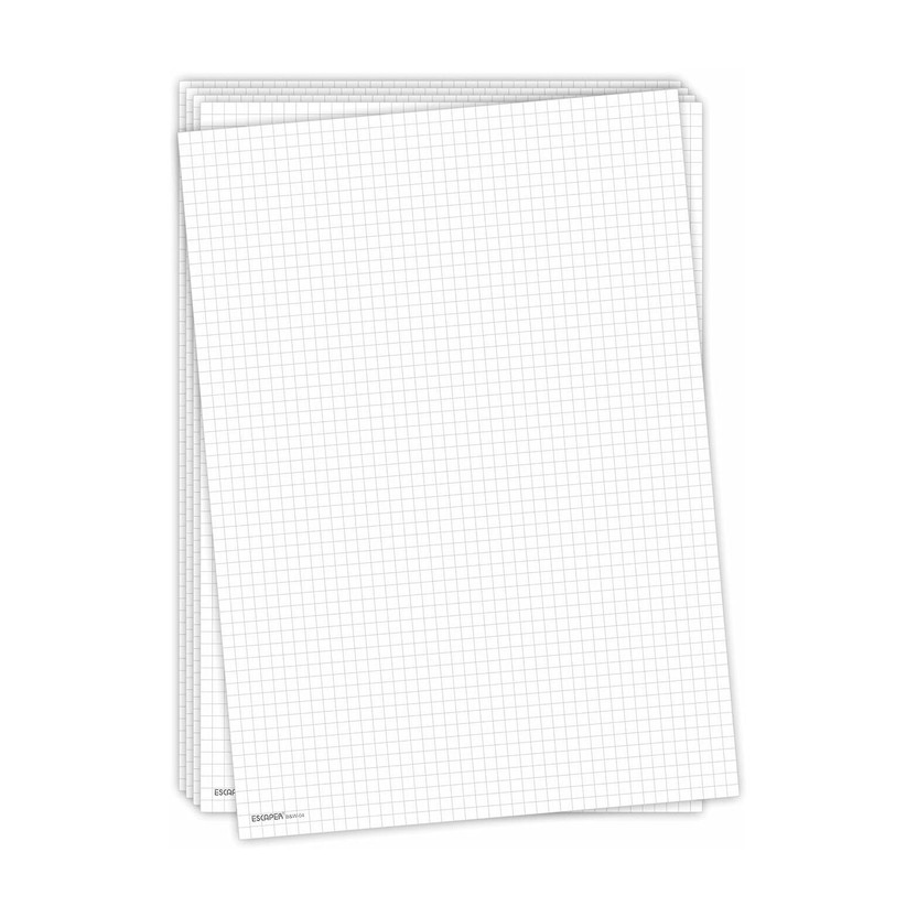 ESCAPER ESCAPER Pack of 100 Double-Sided A4 90 gsm Graph Paper(Set of 100, White) - Flipkart Deal