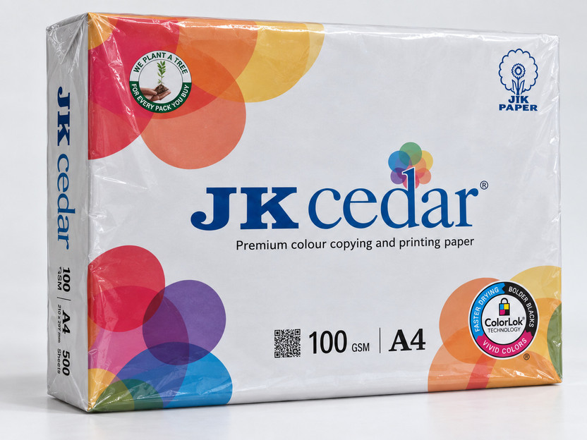 JK JK Copier 100 GSM Unruled A4 100 gsm A4 paper(Set of 1, White) - Flipkart Deal