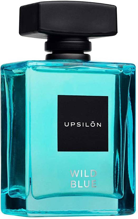 Buy UPSILON Perfume for Men s Eau de Parfum 100 ml Online In India