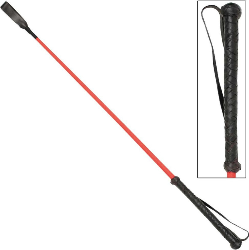 PARNER Dog Agility Training Stick Obedience Wand with Wrist Loop Handle Red Pet Agility Set(Training Stick)