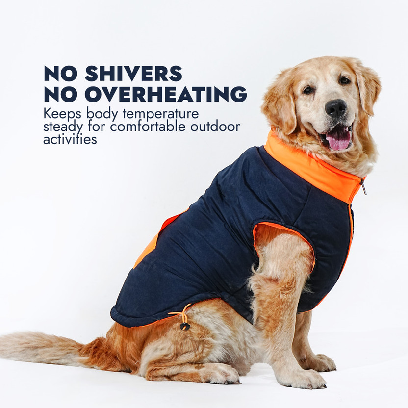 Barks & Wags Winter Jacket for Dog, Cat(Navy Orange)