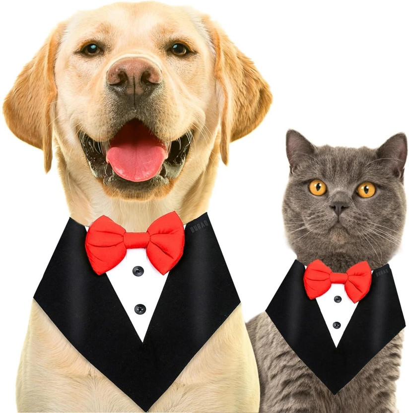 Buraq Tuxedo for Dog(Black)