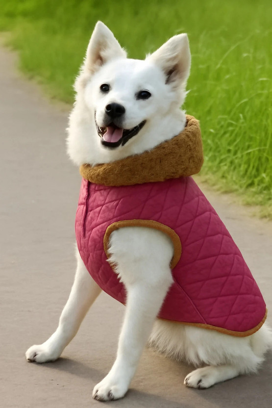 OLENE Winter Jacket for Dog, Cat(Dark Pink)