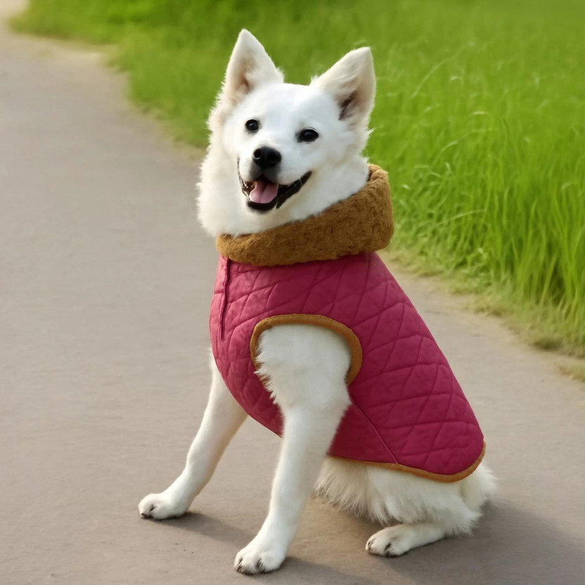 OLENE Winter Jacket for Dog, Cat(Dark Pink)