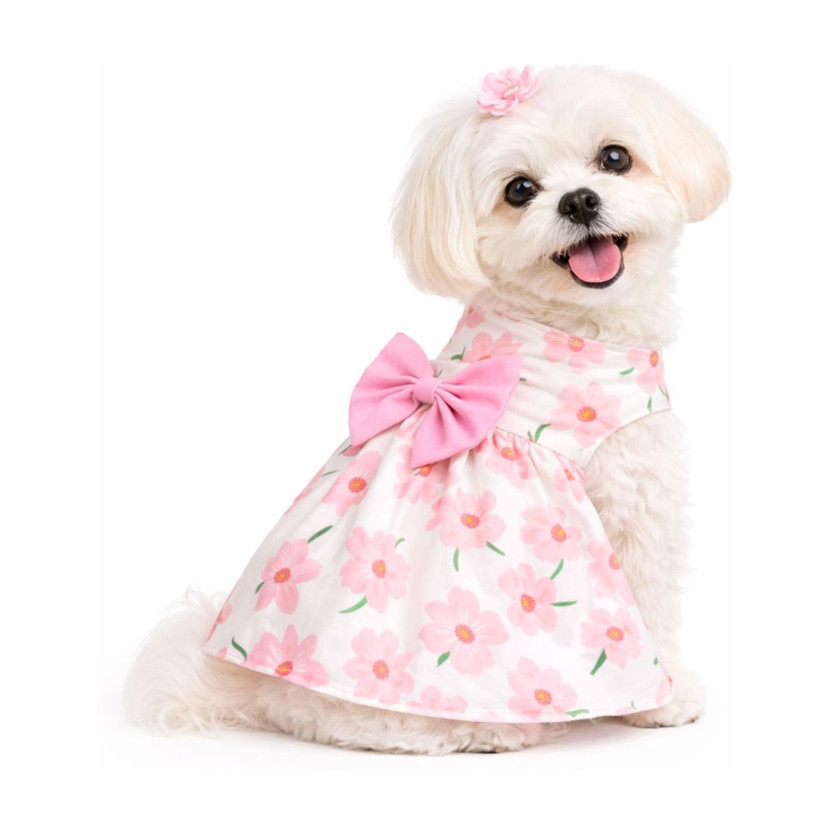 Buraq Buraq Costume for Dog, Cat(Multicolor) - Flipkart Deal