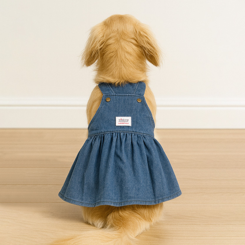 Zigly Lifestyle Frock for Dog(Blue)