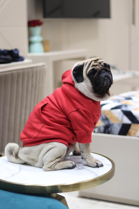 Baeship Hoodie for Dog(RED)