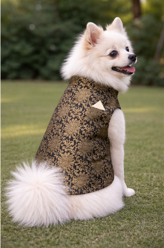 Pupmeo Dress for Dog(Black)