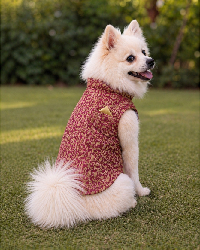 Pupmeo Dress for Dog(Maroon)