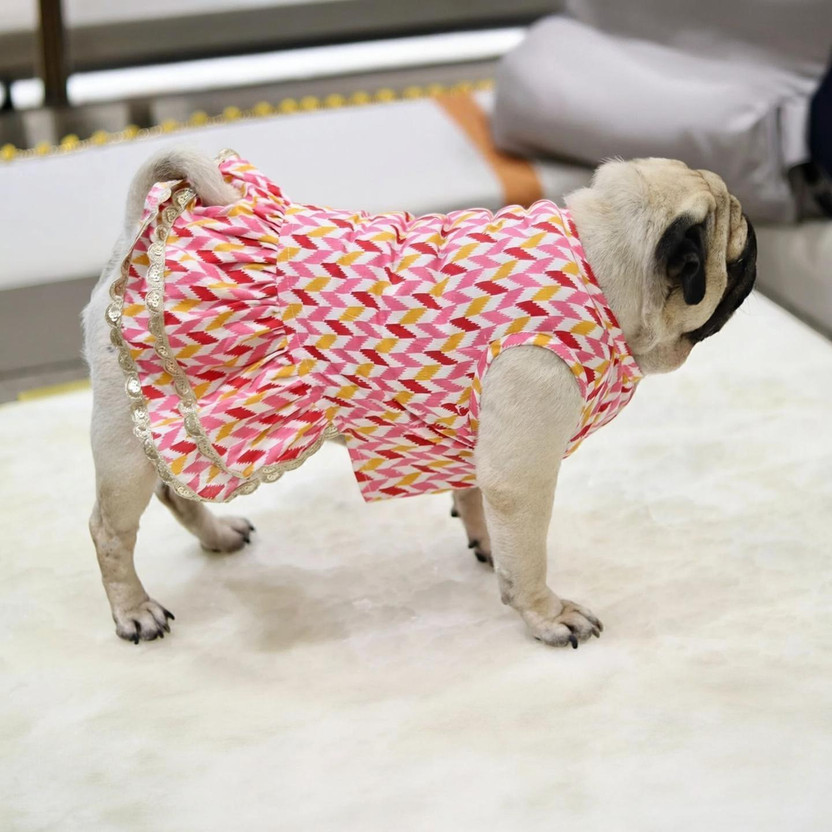 Baeship Dress for Dog(pink)