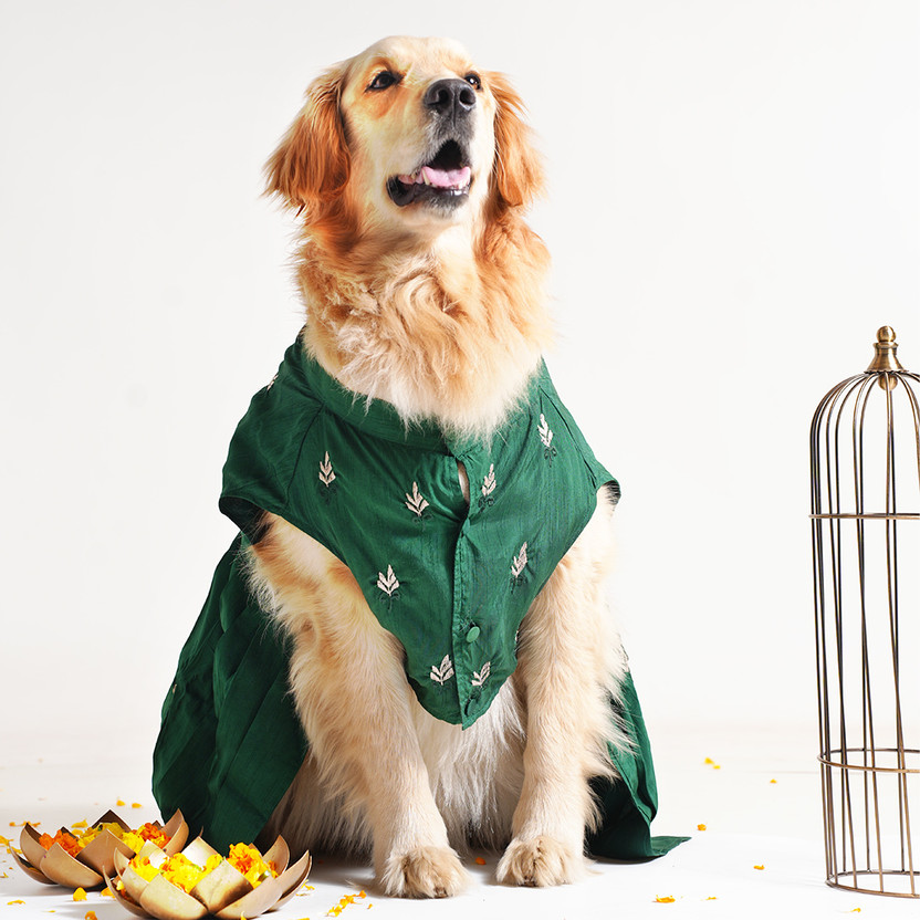 Barks Barks & Wags Dress for Dog(Green) - Flipkart Deal