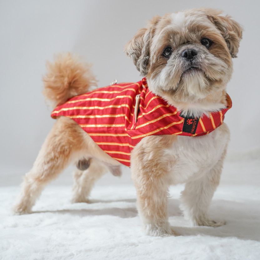 PAWGY Tuxedo for Dog, Cat(Red)