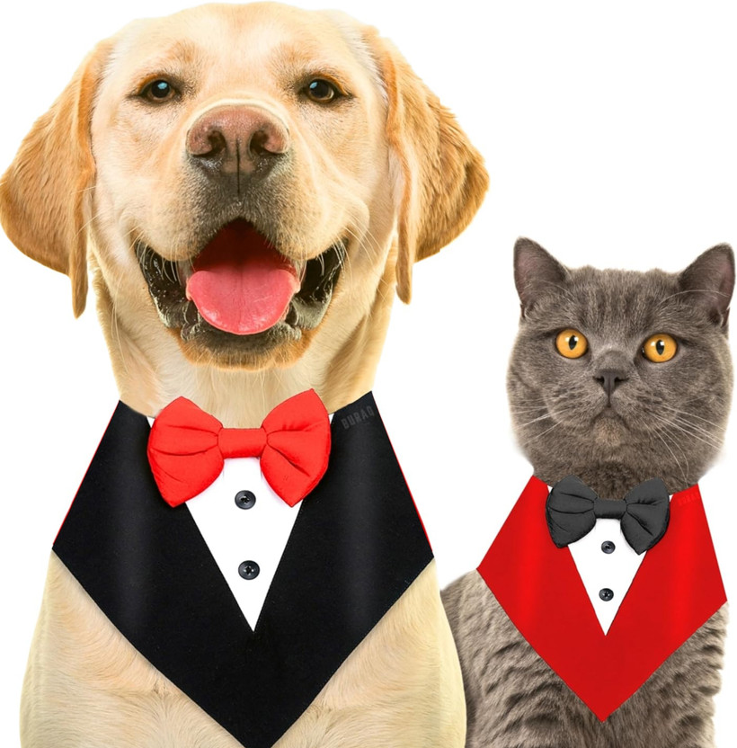 Buraq Tuxedo for Dog(Red)