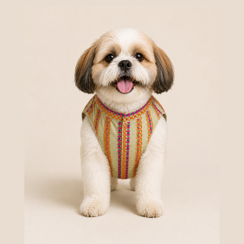 Pupmeo Pupmeo Dress for Dog(Multicolor) - Flipkart Deal
