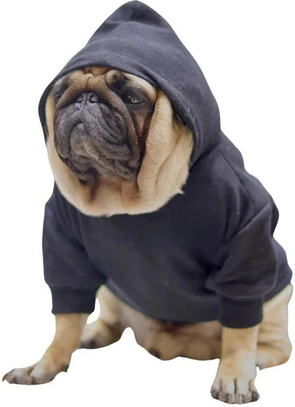 Baeship Hoodie for Dog(Black)