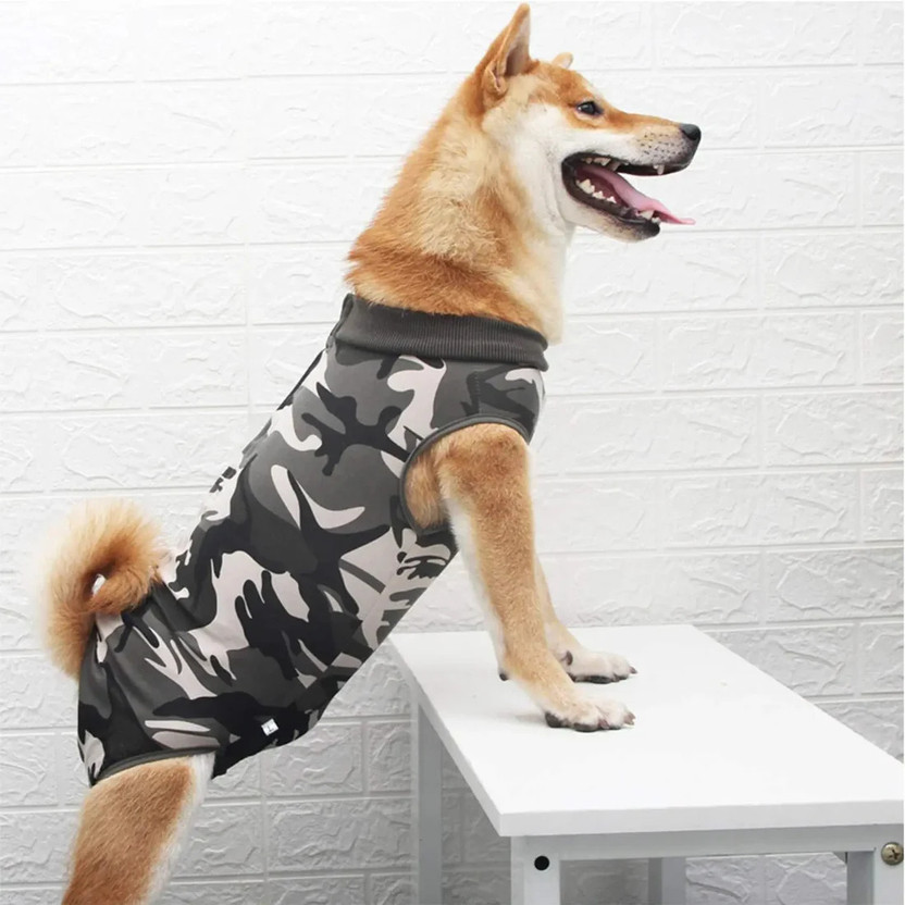 Petaloons T-shirt for Dog(Multicolor)