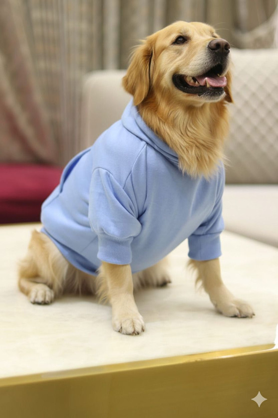 Baeship Baeship T-shirt for Dog(Blue) - Flipkart Deal