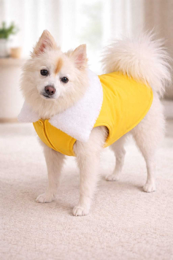 Omm Winter Jacket for Dog(YELLOW)