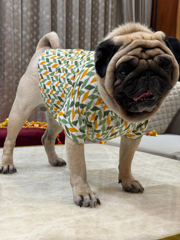 Baeship Dress for Dog(Green)