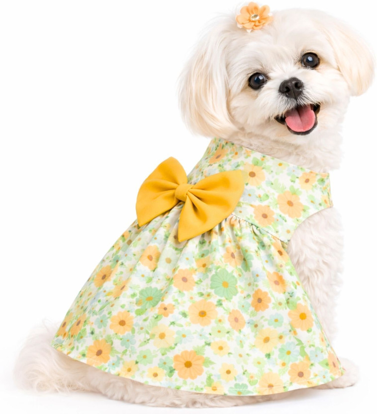 Buraq Costume for Dog, Cat(Yellow)