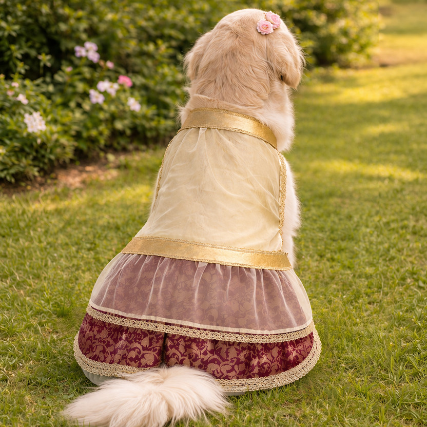 Pupmeo Dress for Dog(Maroon)