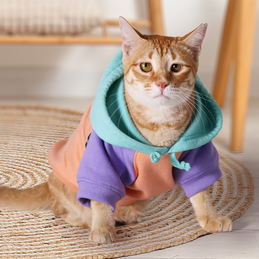 Pawrels Hoodie for Cat(Peach)