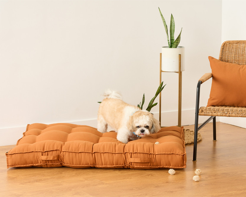 SKANDA SKANDA FAB SF059IN XL Pet Bed(Cinnamon Brown) - Flipkart Deal