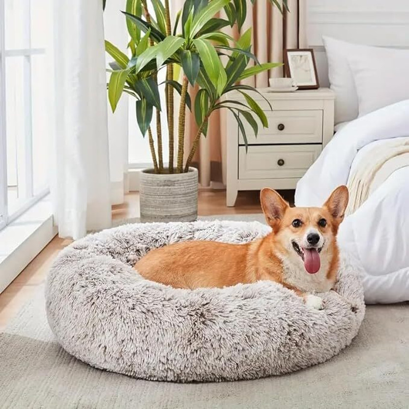 smile online dog bad XL Pet Bed(grey)