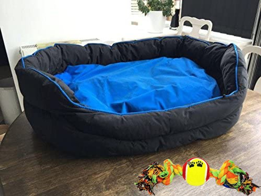 Slatters Be Royal Store PremiumQuality Velvet Luxury Washable DOG Sofa For All Season Sleeping CatPuppy XXL Pet Bed(‎Sky Blue Black)