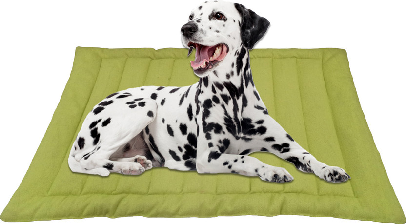 I WISH DOG/Quilt/LIne/Green-1-M M Pet Bed(GREEN)