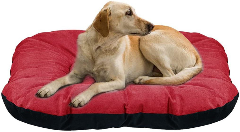Expecting Expecting Smile Reversible Pet Bed Cushion for Dogs and Cats - A Soft Comfortable Waterproof Bed XL Pet Bed(Red) - Flipkart Deal