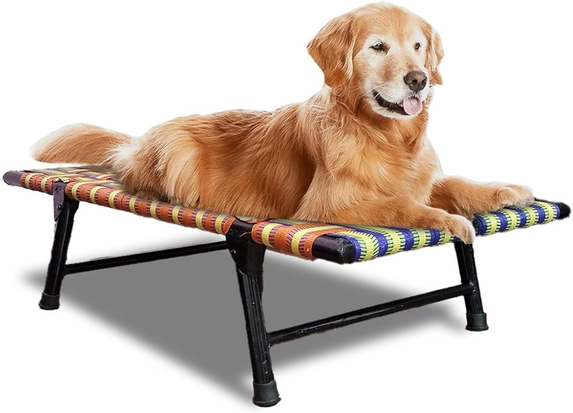 J S HOME FINISHING Large Size Folding Pet Bed for Dogs Breathable Mesh Raised Cot L Pet Bed(Multicolor)