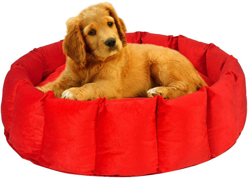 Slatters Be Royal Store PremiumQuality Velvet Luxury Washable DOG Sofa For All Season Sleeping CatPuppy XXXL Pet Bed(Red)