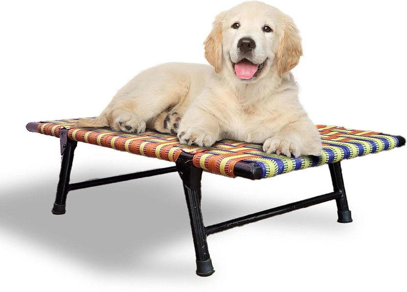HussainFuniture Dog Bed With Leg Fold Strong Quality Iron Frame With Strips L Pet Bed(MULTICOLOR)