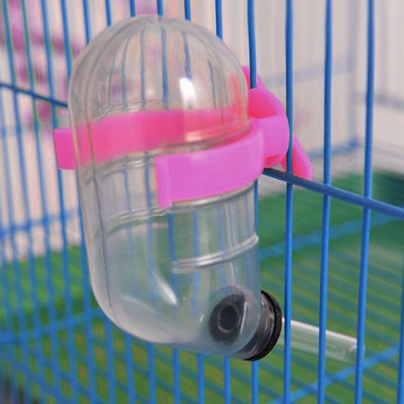 Sage Square Leak Proof Water Feeder for Hamster / Dwarf / Gerbil / Mice / Guinea Pig / Ferret / Rabbit Round Plastic Pet Bottle(60 ml Pink)