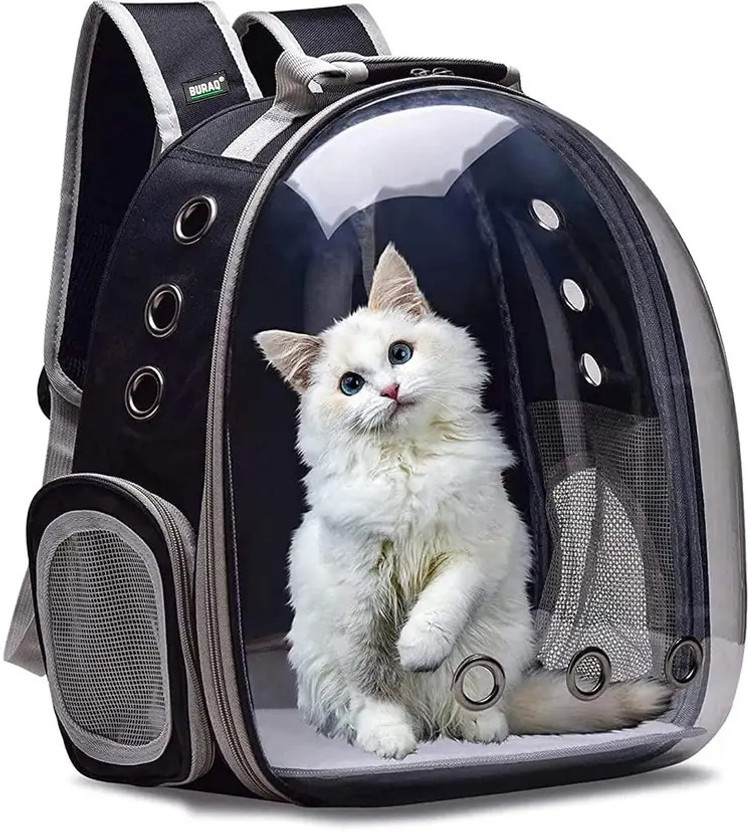 PT4CT Space Transparent Pet Carrier - Pet Bag for Travel | Hiking BLACK Car Pet Carrier(Suitable For Dog, Cat, Turtle, Rabbit)